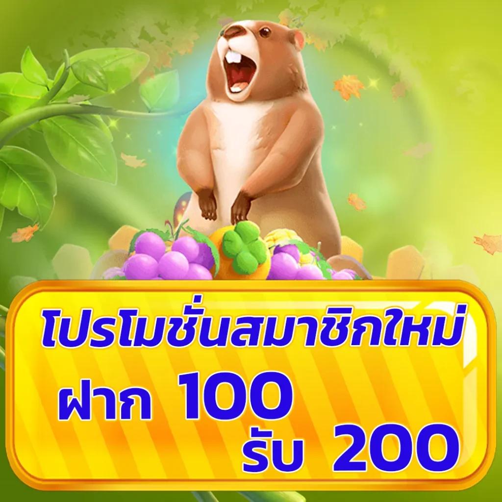 ninja999 เว็บตรง สล็อต ฝากถอนออโต้ ไม่ผ่านเอเย่นต์ 2026