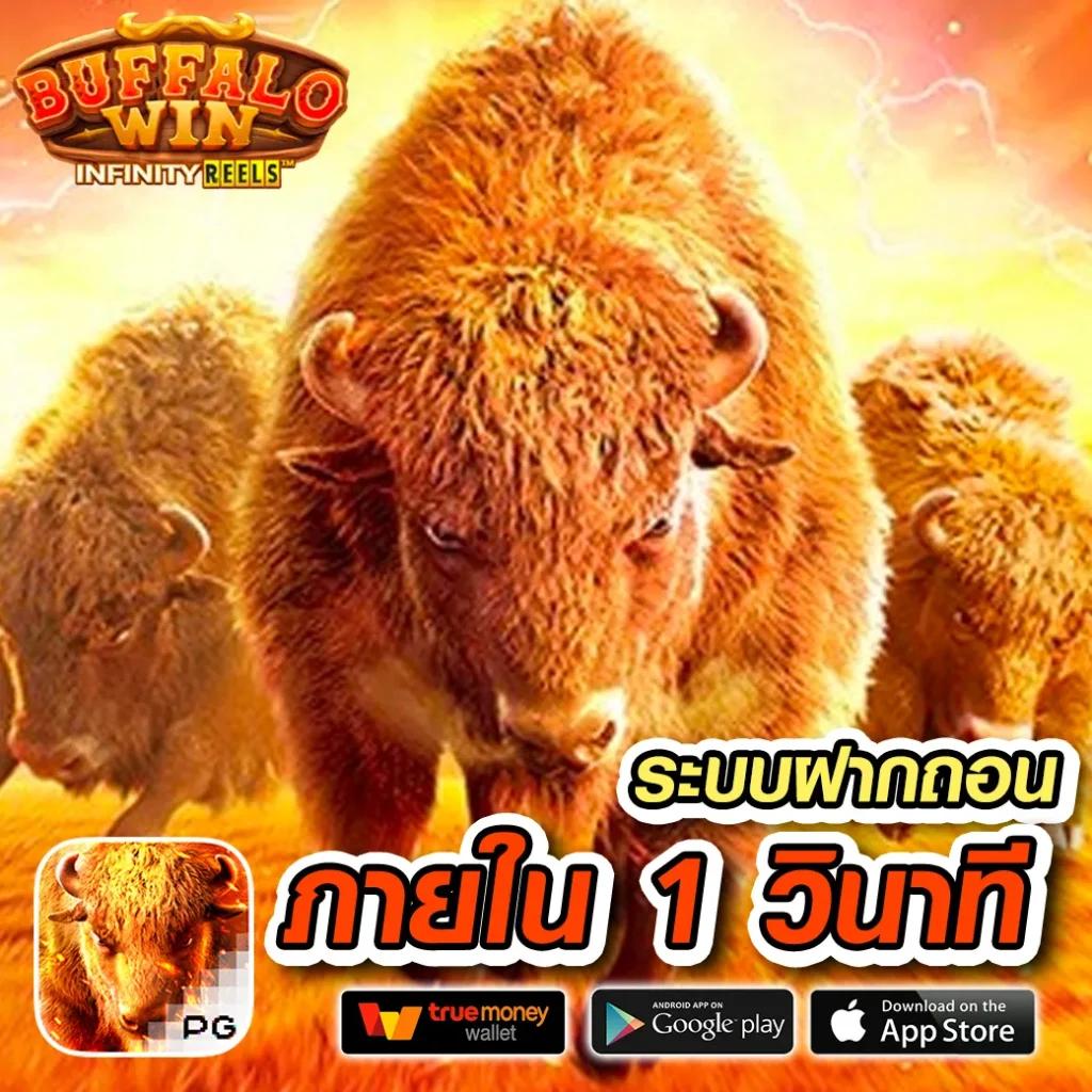 รวยหวยออนไลน์ เว็บตรง สล็อต ฝากถอนออโต้ ไม่ผ่านเอเย่นต์ 2026